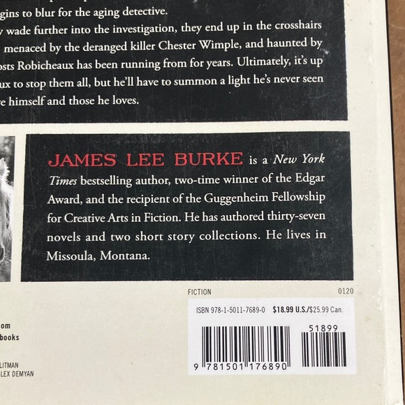 James Lee Burke 'The New Iberia Blues' softcover Book - a dave robicheaux novel - Picture 4 of 16